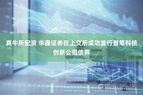 真牛所配资 华鑫证券在上交所成功发行首笔科技创新公司债券