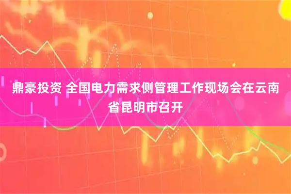 鼎豪投资 全国电力需求侧管理工作现场会在云南省昆明市召开